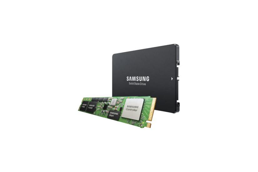 Pm9a3 Mzql27t6hbla   7.68 Tb   Ssd   Pci Express 3.0 X4 U.2 (nvme) fra Samsung